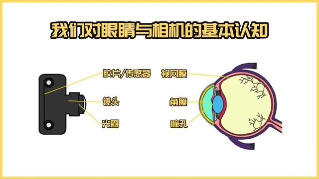 微信图片_20240606102926.jpg